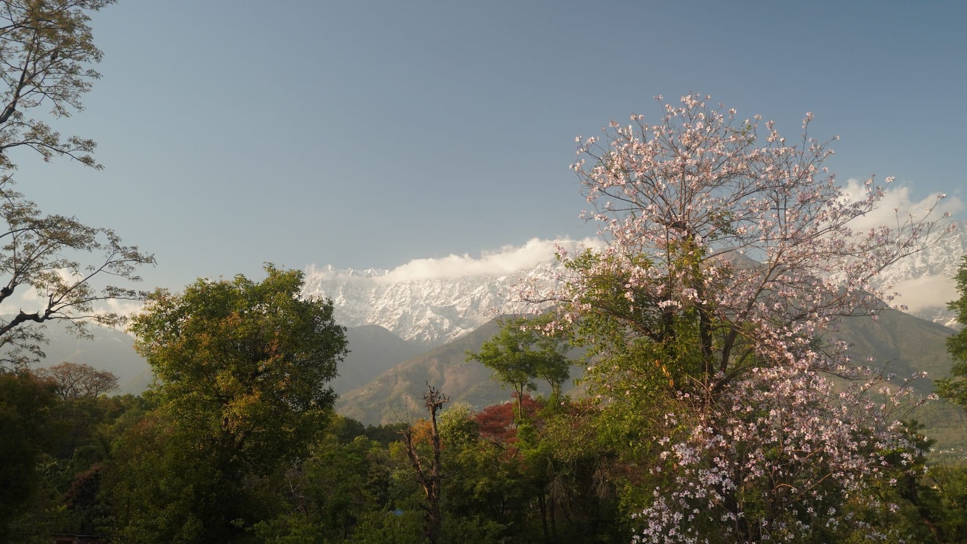 Outdoor and natural spaces at Himveda